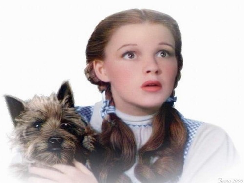 High Quality Dorothy and Toto Blank Meme Template