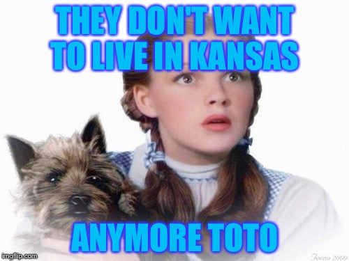 Dorothy and Toto | THEY DON'T WANT TO LIVE IN KANSAS ANYMORE TOTO | image tagged in dorothy and toto | made w/ Imgflip meme maker