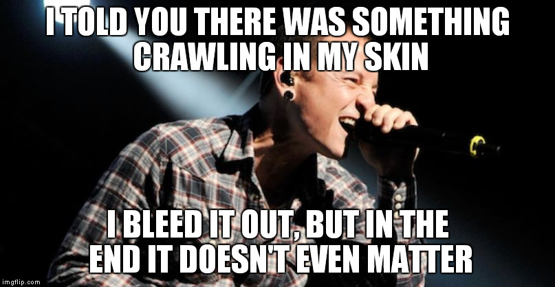 linkin park crawling | I TOLD YOU THERE WAS SOMETHING CRAWLING IN MY SKIN; I BLEED IT OUT, BUT IN THE END IT DOESN'T EVEN MATTER | image tagged in linkin park crawling | made w/ Imgflip meme maker