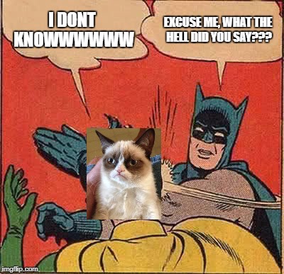 Batman Slapping Robin Meme | I DONT KNOWWWWWW EXCUSE ME, WHAT THE HELL DID YOU SAY??? | image tagged in memes,batman slapping robin | made w/ Imgflip meme maker