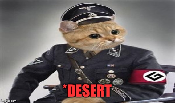 *DESERT | made w/ Imgflip meme maker