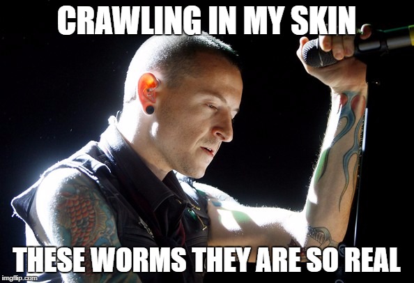 Chester Bennington rip | CRAWLING IN MY SKIN; THESE WORMS THEY ARE SO REAL | image tagged in chester bennington rip | made w/ Imgflip meme maker