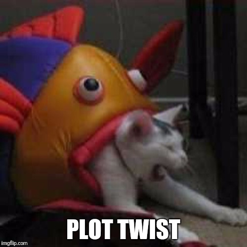 Summon your most hilarious plot twist | PLOT TWIST | image tagged in plot twist | made w/ Imgflip meme maker