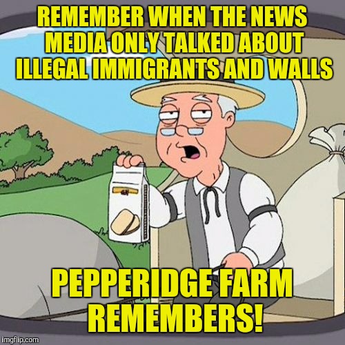 Pepperidge Farm Remembers Meme | REMEMBER WHEN THE NEWS MEDIA ONLY TALKED ABOUT ILLEGAL IMMIGRANTS AND WALLS; PEPPERIDGE FARM REMEMBERS! | image tagged in memes,pepperidge farm remembers | made w/ Imgflip meme maker