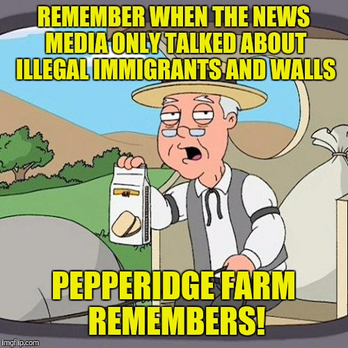 Pepperidge Farm Remembers | REMEMBER WHEN THE NEWS MEDIA ONLY TALKED ABOUT ILLEGAL IMMIGRANTS AND WALLS; PEPPERIDGE FARM REMEMBERS! | image tagged in memes,pepperidge farm remembers | made w/ Imgflip meme maker