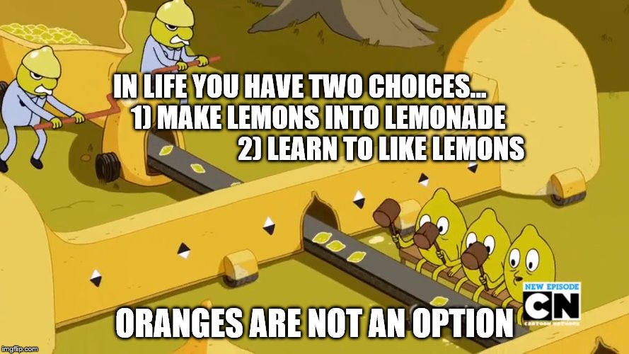 IN LIFE YOU HAVE TWO CHOICES...             1) MAKE LEMONS INTO LEMONADE                                2) LEARN TO LIKE LEMONS; ORANGES ARE NOT AN OPTION | image tagged in lemons | made w/ Imgflip meme maker