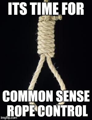 Chris cornell | ITS TIME FOR; COMMON SENSE ROPE CONTROL | image tagged in chester bennington | made w/ Imgflip meme maker