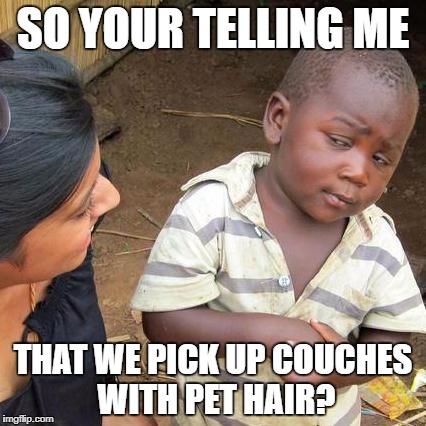 Third World Skeptical Kid Meme | SO YOUR TELLING ME; THAT WE PICK UP COUCHES WITH PET HAIR? | image tagged in memes,third world skeptical kid | made w/ Imgflip meme maker