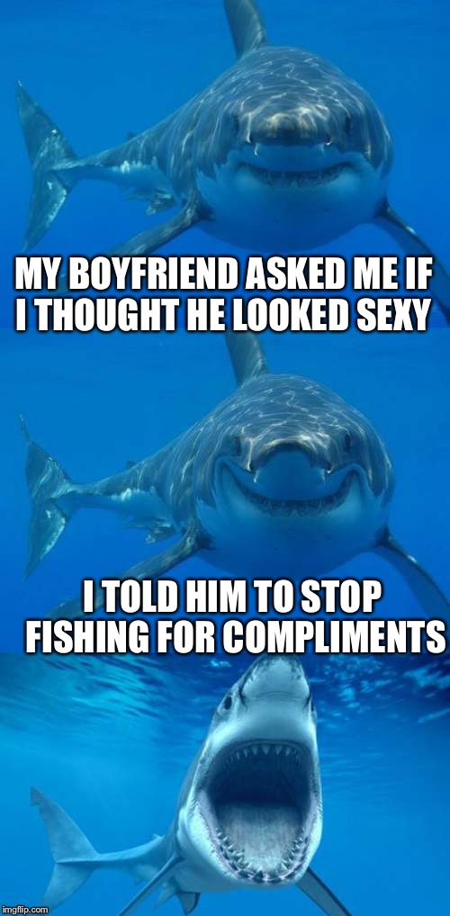 Bad Shark Pun  | MY BOYFRIEND ASKED ME IF I THOUGHT HE LOOKED SEXY; I TOLD HIM TO STOP FISHING FOR COMPLIMENTS | image tagged in bad shark pun | made w/ Imgflip meme maker
