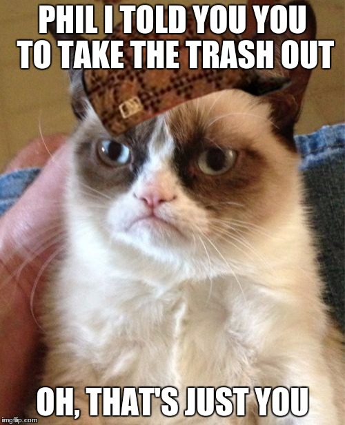 Grumpy Cat Meme | PHIL I TOLD YOU YOU TO TAKE THE TRASH OUT; OH, THAT'S JUST YOU | image tagged in memes,grumpy cat,scumbag | made w/ Imgflip meme maker