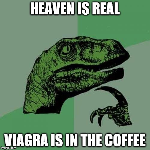 Philosoraptor | HEAVEN IS REAL; VIAGRA IS IN THE COFFEE | image tagged in memes,philosoraptor | made w/ Imgflip meme maker