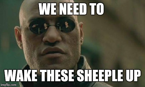 Matrix Morpheus Meme | WE NEED TO WAKE THESE SHEEPLE UP | image tagged in memes,matrix morpheus | made w/ Imgflip meme maker