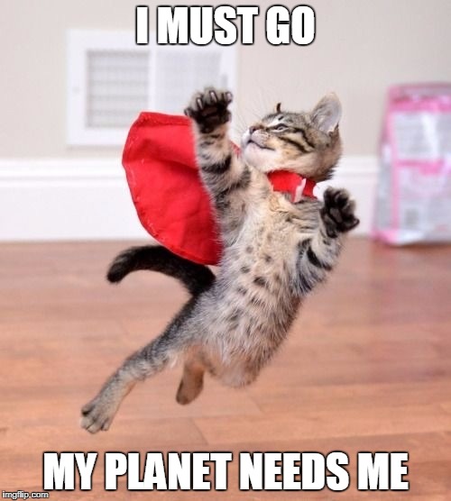 My Planet Need Me | I MUST GO; MY PLANET NEEDS ME | image tagged in cats,cute cats,super hero,kitten,flying | made w/ Imgflip meme maker