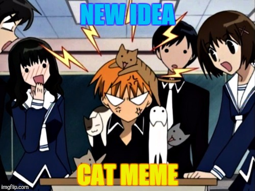 New Idea | NEW IDEA; CAT MEME | image tagged in grumpy cat,too many cats,funny,memes,conformity,fruit week | made w/ Imgflip meme maker