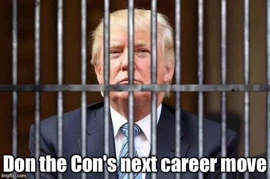 Jail | Don the Con's next career move | image tagged in donald trump | made w/ Imgflip meme maker