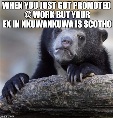 Confession Bear Meme | WHEN YOU JUST GOT PROMOTED @ WORK BUT YOUR EX IN NKUWANKUWA IS SCOTHO | image tagged in memes,confession bear | made w/ Imgflip meme maker