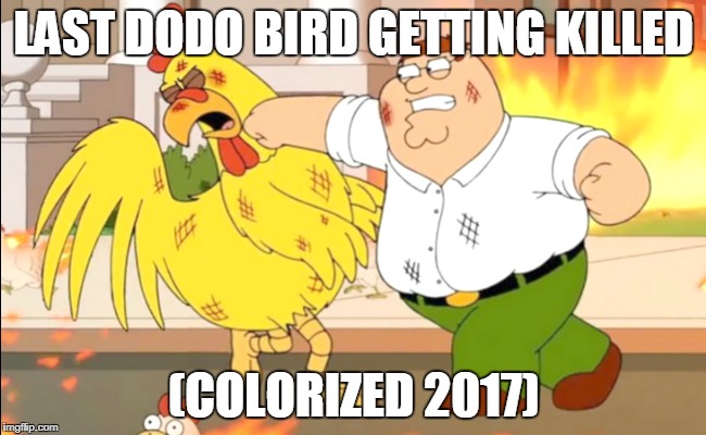 Last Dodo | LAST DODO BIRD GETTING KILLED; (COLORIZED 2017) | image tagged in family guy,dodo,extinction | made w/ Imgflip meme maker
