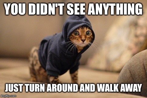 Hoody Cat |  YOU DIDN'T SEE ANYTHING; JUST TURN AROUND AND WALK AWAY | image tagged in memes,hoody cat | made w/ Imgflip meme maker