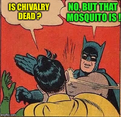 Batman Slapping Robin Meme | IS CHIVALRY DEAD ? NO, BUT THAT MOSQUITO IS ! | image tagged in memes,batman slapping robin | made w/ Imgflip meme maker