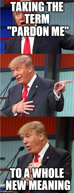 Bad Pun Trump | TAKING THE TERM  "PARDON ME"; TO A WHOLE NEW MEANING | image tagged in bad pun trump | made w/ Imgflip meme maker