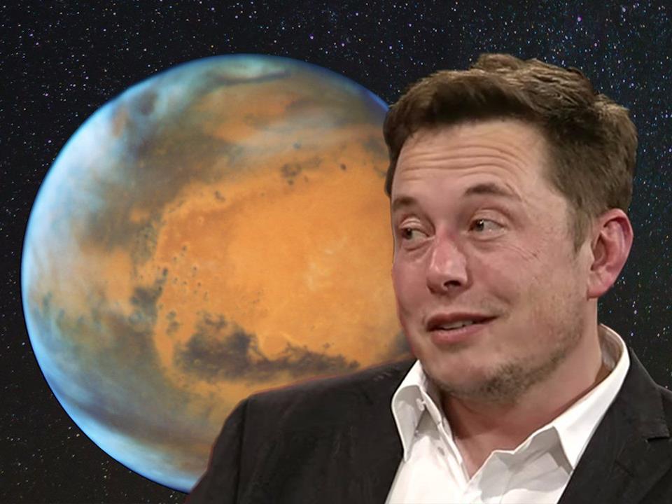 Musk Blank Meme Template