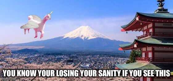 I love photoshop | YOU KNOW YOUR LOSING YOUR SANITY IF YOU SEE THIS | image tagged in llamacorn,japan,insanity | made w/ Imgflip meme maker
