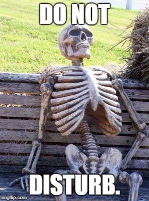 Waiting Skeleton Meme | DO NOT; DISTURB. | image tagged in memes,waiting skeleton | made w/ Imgflip meme maker