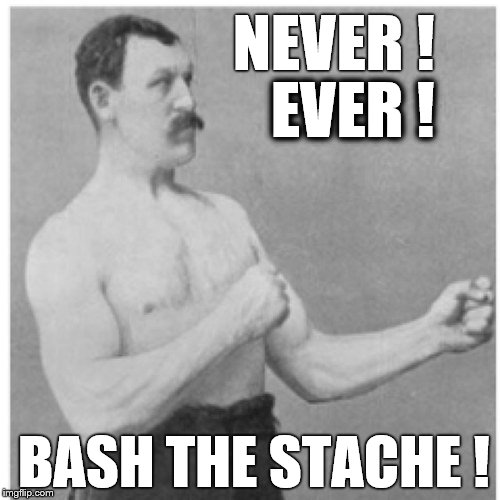 Overly Manly Man Ma-Stache! | NEVER ! EVER ! BASH THE STACHE ! | image tagged in memes,overly manly man,mustache | made w/ Imgflip meme maker