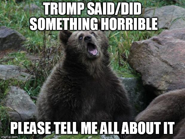 Sarcastic Bear | TRUMP SAID/DID SOMETHING HORRIBLE; PLEASE TELL ME ALL ABOUT IT | image tagged in sarcastic bear | made w/ Imgflip meme maker