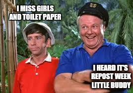                 Always seven days later  | I MISS GIRLS AND TOILET PAPER; I HEARD IT'S REPOST WEEK LITTLE BUDDY | image tagged in memes,gilligan bad pun,repost,funny memes | made w/ Imgflip meme maker