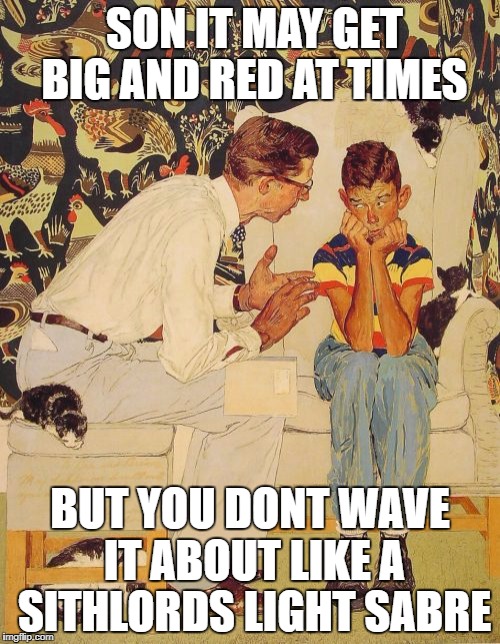 The Problem Is | SON IT MAY GET BIG AND RED AT TIMES; BUT YOU DONT WAVE IT ABOUT LIKE A SITHLORDS LIGHT SABRE | image tagged in memes,the probelm is | made w/ Imgflip meme maker