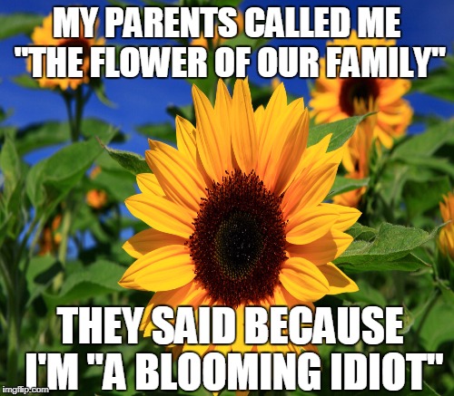 Happy Sunflower | MY PARENTS CALLED ME "THE FLOWER OF OUR FAMILY" THEY SAID BECAUSE I'M "A BLOOMING IDIOT" | image tagged in happy sunflower,memes | made w/ Imgflip meme maker