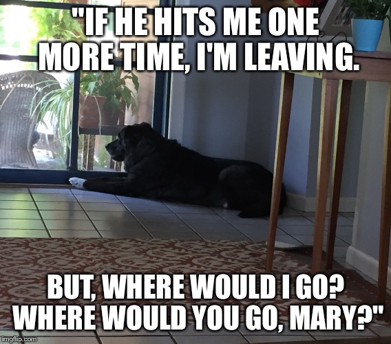 The Saddest Dog | "IF HE HITS ME ONE MORE TIME, I'M LEAVING. BUT, WHERE WOULD I GO? WHERE WOULD YOU GO, MARY?" | image tagged in dog,meme,funny | made w/ Imgflip meme maker