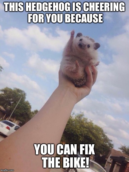 Sky Hedgehog | THIS HEDGEHOG IS CHEERING FOR YOU BECAUSE; YOU CAN FIX THE BIKE! | image tagged in sky hedgehog | made w/ Imgflip meme maker