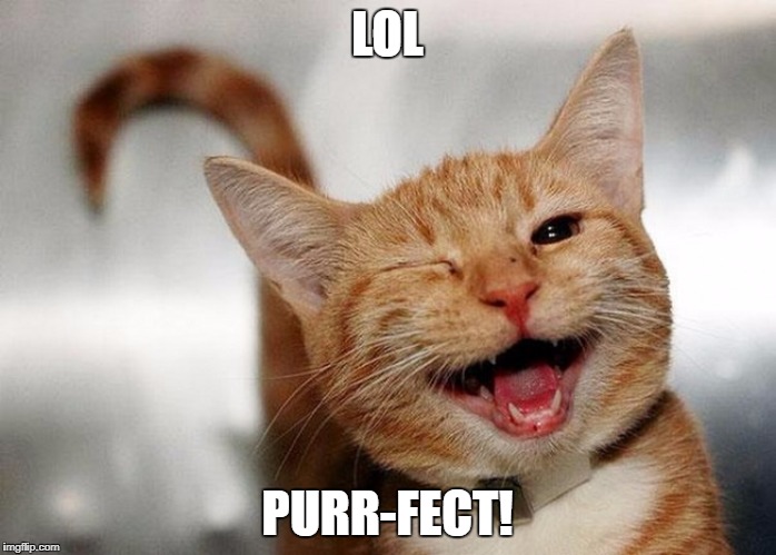 LOL PURR-FECT! | made w/ Imgflip meme maker