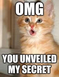 Funny animals | OMG; YOU UNVEILED MY SECRET | image tagged in funny animals | made w/ Imgflip meme maker