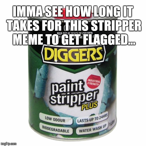 Who's ready for a peep show?  | IMMA SEE HOW LONG IT TAKES FOR THIS STRIPPER MEME TO GET FLAGGED... | image tagged in jbmemegeek,stripper,puns,memes | made w/ Imgflip meme maker