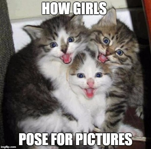 Happy Cats | HOW GIRLS; POSE FOR PICTURES | image tagged in happy cats | made w/ Imgflip meme maker