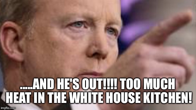 .....AND HE'S OUT!!!!
TOO MUCH HEAT IN THE WHITE HOUSE KITCHEN! | image tagged in sean spicer quits | made w/ Imgflip meme maker