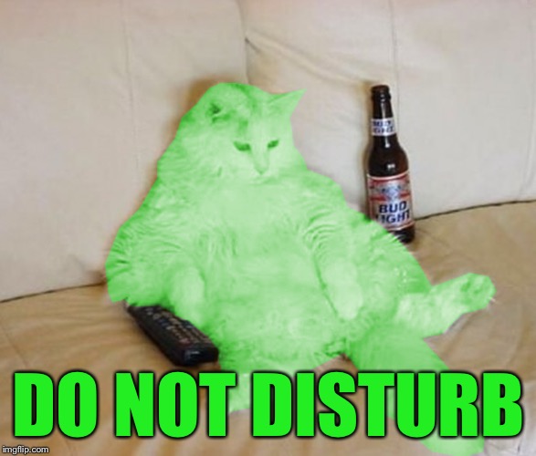 RayCat Chillin' | DO NOT DISTURB | image tagged in raycat chillin' | made w/ Imgflip meme maker