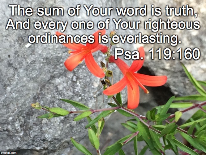 The sum of Your word is truth, And every one of Your righteous ordinances is everlasting. Psa. 119:160 | image tagged in ordinances | made w/ Imgflip meme maker