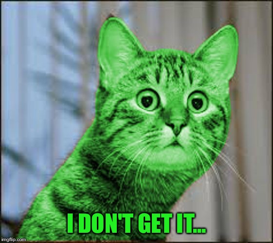 RayCat WTF | I DON'T GET IT... | image tagged in raycat wtf | made w/ Imgflip meme maker