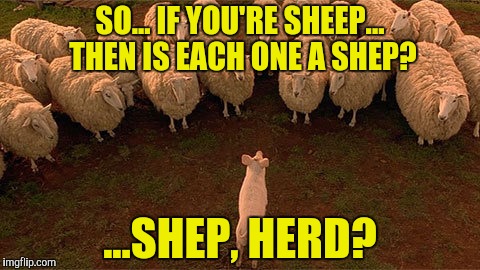 Escort Service |  SO... IF YOU'RE SHEEP... THEN IS EACH ONE A SHEP? ...SHEP, HERD? | image tagged in sexy sheep,weed jesus | made w/ Imgflip meme maker