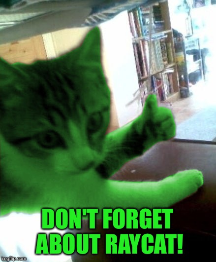 thumbs up RayCat | DON'T FORGET ABOUT RAYCAT! | image tagged in thumbs up raycat | made w/ Imgflip meme maker