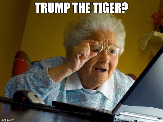 Grandma Finds The Internet Meme | TRUMP THE TIGER? | image tagged in memes,grandma finds the internet | made w/ Imgflip meme maker