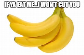 IF YA EAT ME...I WON'T CUT YOU | image tagged in bananas,studio c | made w/ Imgflip meme maker