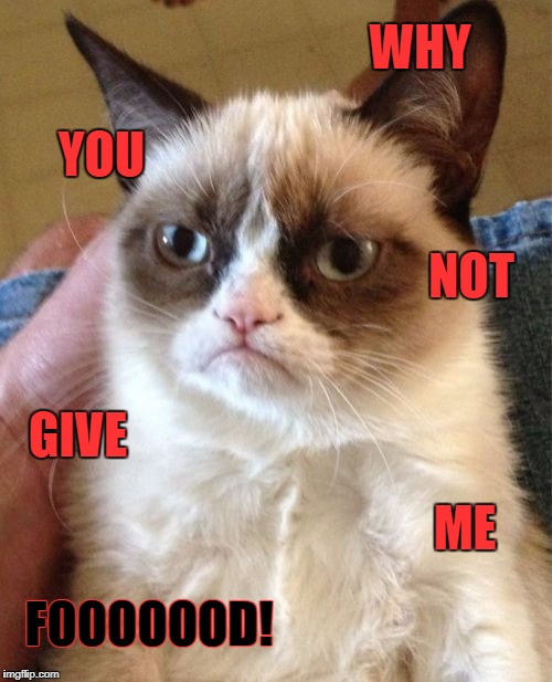 Grumpy Cat Meme | WHY; YOU; NOT; GIVE; ME; FOOOOOOD! | image tagged in memes,grumpy cat | made w/ Imgflip meme maker