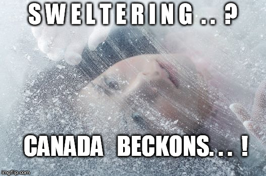 Sweltering | S W E L T E R I N G  . .  ? CANADA   BECKONS. . .  ! | image tagged in canada | made w/ Imgflip meme maker