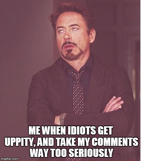 Face You Make Robert Downey Jr Meme | ME WHEN IDIOTS GET UPPITY, AND TAKE MY COMMENTS WAY TOO SERIOUSLY | image tagged in memes,face you make robert downey jr | made w/ Imgflip meme maker