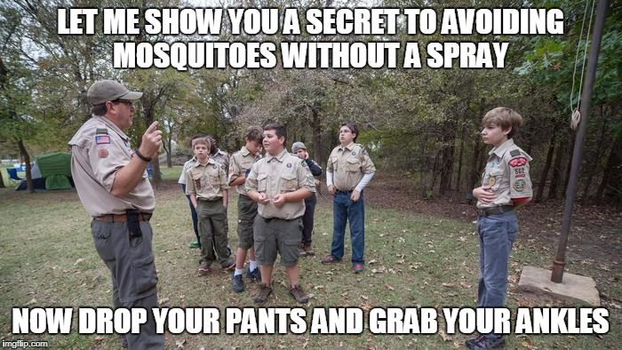 LET ME SHOW YOU A SECRET TO AVOIDING MOSQUITOES WITHOUT A SPRAY NOW DROP YOUR PANTS AND GRAB YOUR ANKLES | made w/ Imgflip meme maker